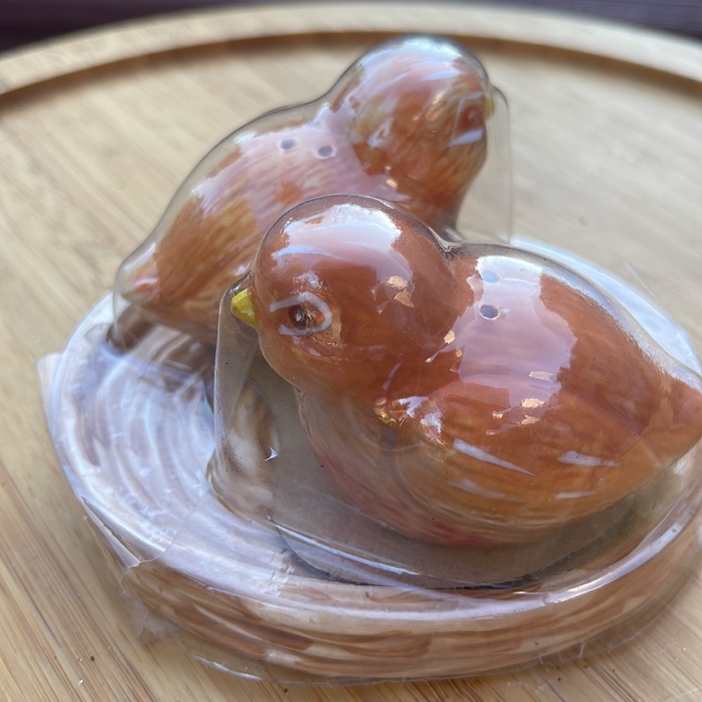 Essential Home Bird Salt and Pepper Shakers on Nest in Package